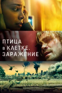 Птица в клетке. Заражение Птица в клетке. Заражение
