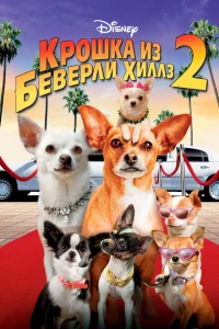 Крошка из Беверли-Хиллз 2 Крошка из Беверли-Хиллз 2