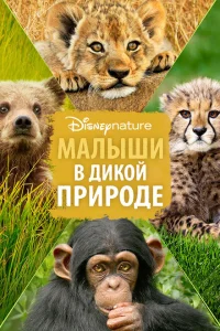 Малыши в дикой природе Малыши в дикой природе