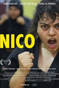 Нико Нико