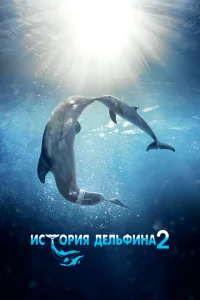 История дельфина 2 История дельфина 2