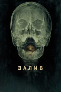 Залив Залив