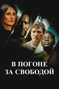 В погоне за свободой В погоне за свободой