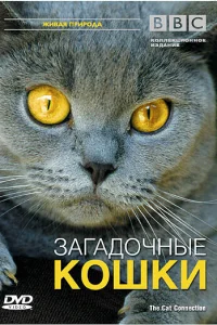 BBC: Загадочные кошки BBC: Загадочные кошки