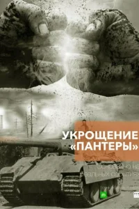 Укрощение «Пантеры» Укрощение «Пантеры»